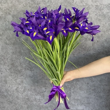 Букет из 25 фиолетовых ирисов «Deep Purple»
