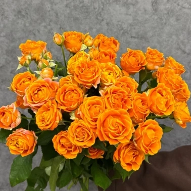 Монобукет из кустовых роз 50 см «Orange»