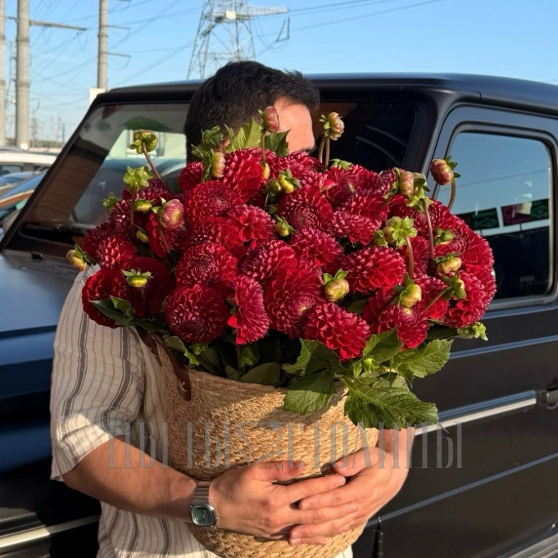 Композиция из 50 георгин &laquo;Red&raquo;