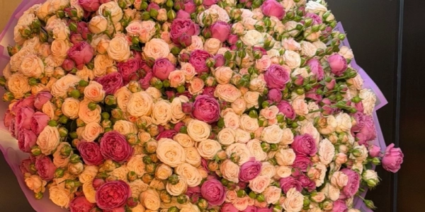 Букет из кустовых роз «Love in Bloom»
