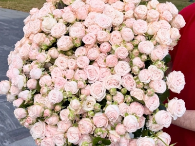 Кустовая роза (цена за шт.)