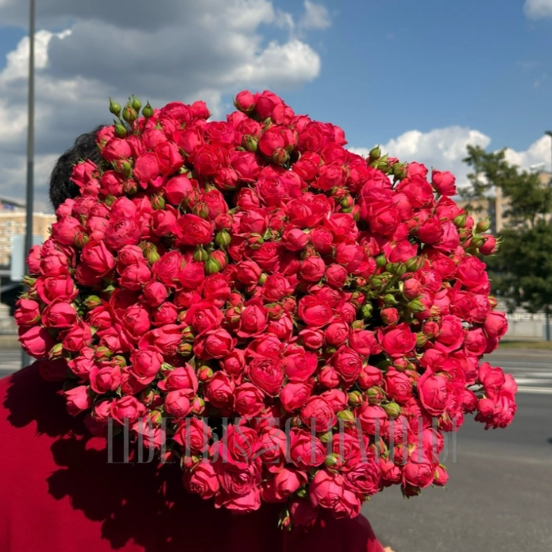 Кустовая роза (цена за шт.)
