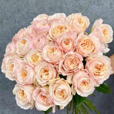 Монобукет из 31 пионовидной розы «Prime Bloom»