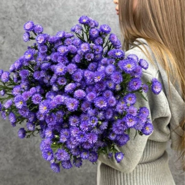 Монобукет из 23 астр «Primavera»