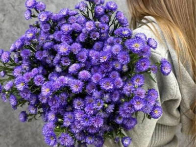 Монобукет из 23 астр «Primavera»