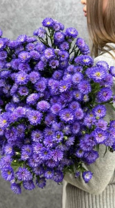 Монобукет из 23 астр «Primavera»
