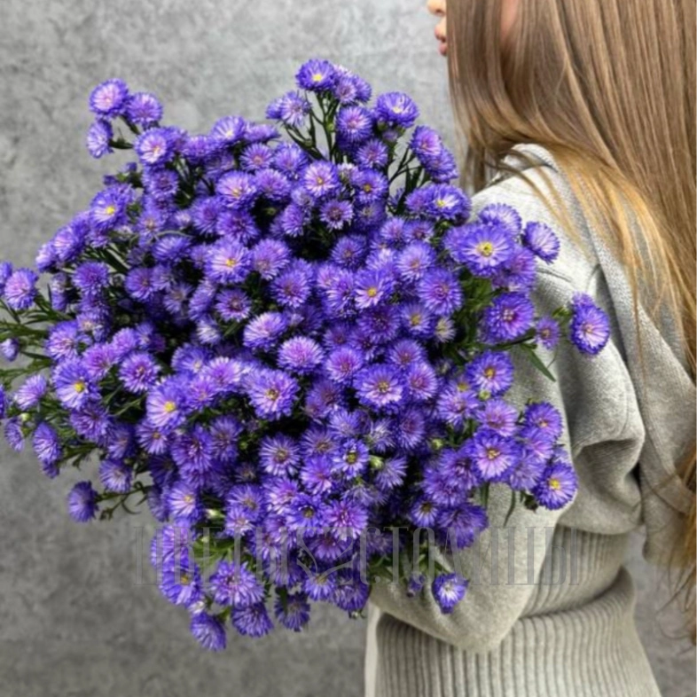 Монобукет из 23 астр &laquo;Primavera&raquo;