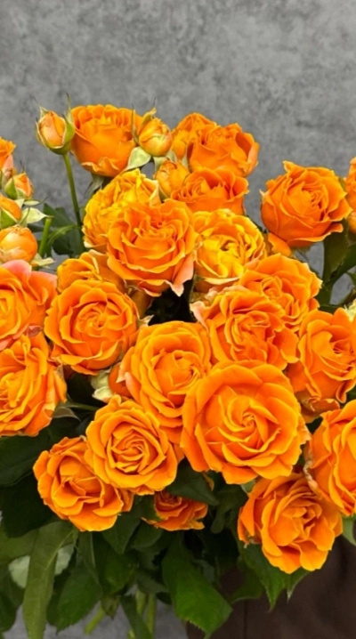 Монобукет из кустовых роз 50 см «Orange»