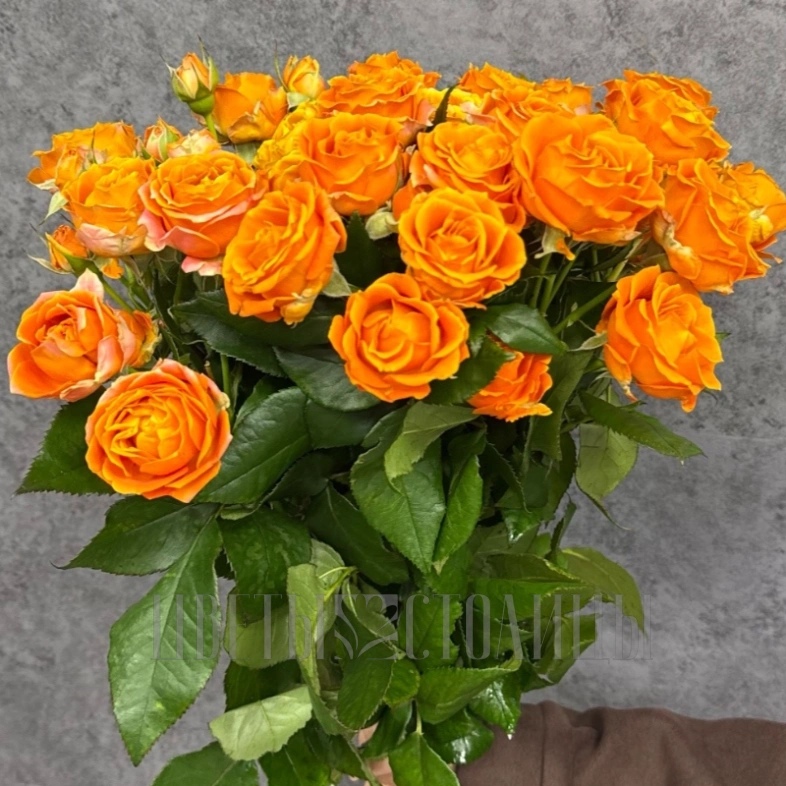 Монобукет из кустовых роз 50 см &laquo;Orange&raquo;