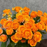 Монобукет из кустовых роз 50 см &laquo;Orange&raquo;