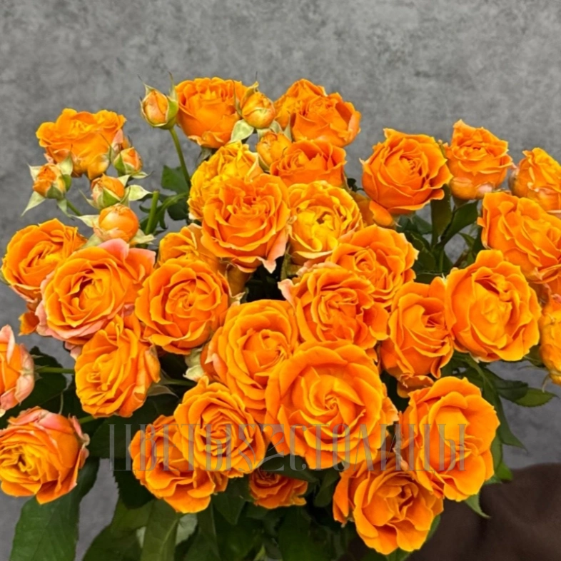 Монобукет из кустовых роз 50 см &laquo;Orange&raquo;